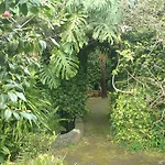 Quinta Da Nasce Agua
