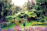 Hotel apartamentowy Quinta Da Nasce Agua