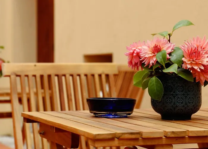 アパートホテル Quinta Da Nasce Agua 4*