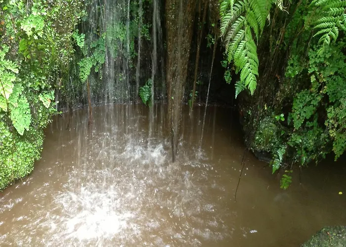 Quinta Da Nasce Agua アパートホテル アングラ・ド・エロイーズモ